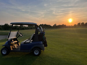 Dog-Friendly Accommodation at Moyvalley Hotel & Golf Resort, Moyvalley, Co. Kildare